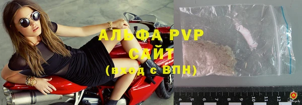 PSILOCYBIN Новокубанск
