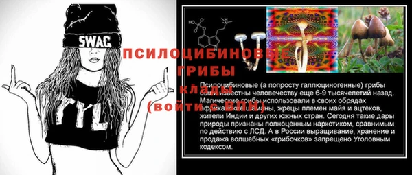 apvp Бикин